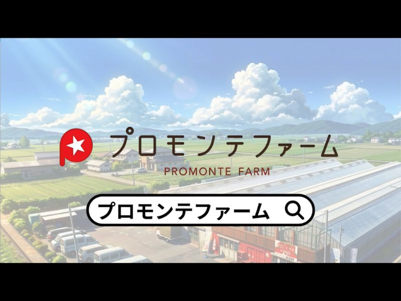 説明